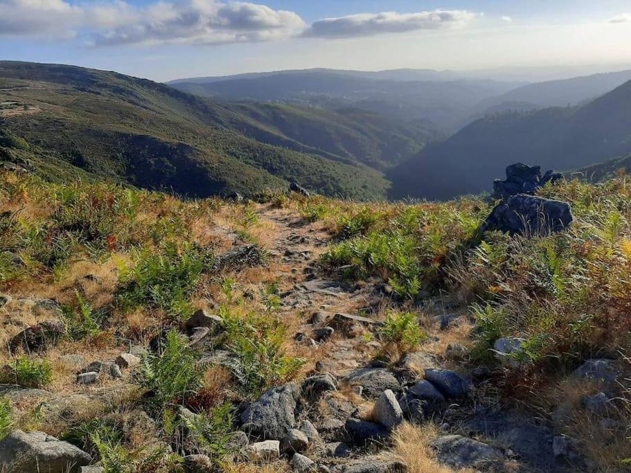 Casinha Do Sol - Natureza & Lazer - Serra Da Freita Arouca Exteriör bild